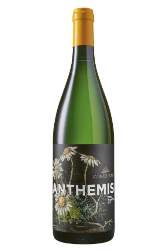 Anthemis 2021